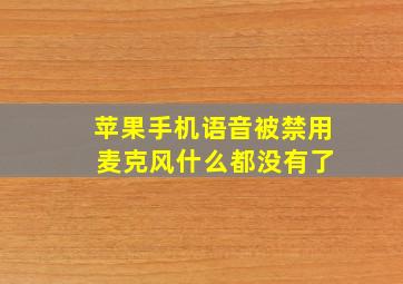 苹果手机语音被禁用 麦克风什么都没有了